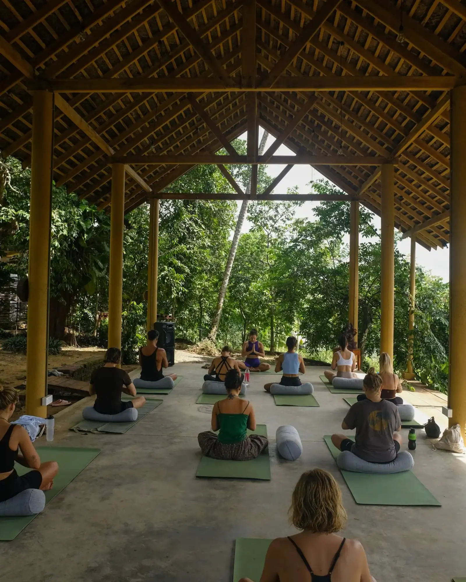 Jungle surrounding the Senses shala in Midigama