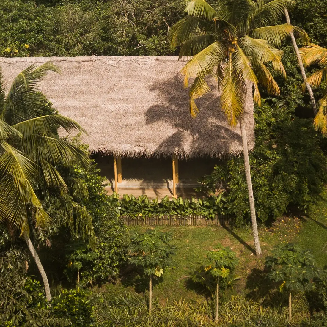 The thatched open-air shala at Senses Sri Lanka seen from above, framed by palm trees and jungle in Midigama, Ahangama