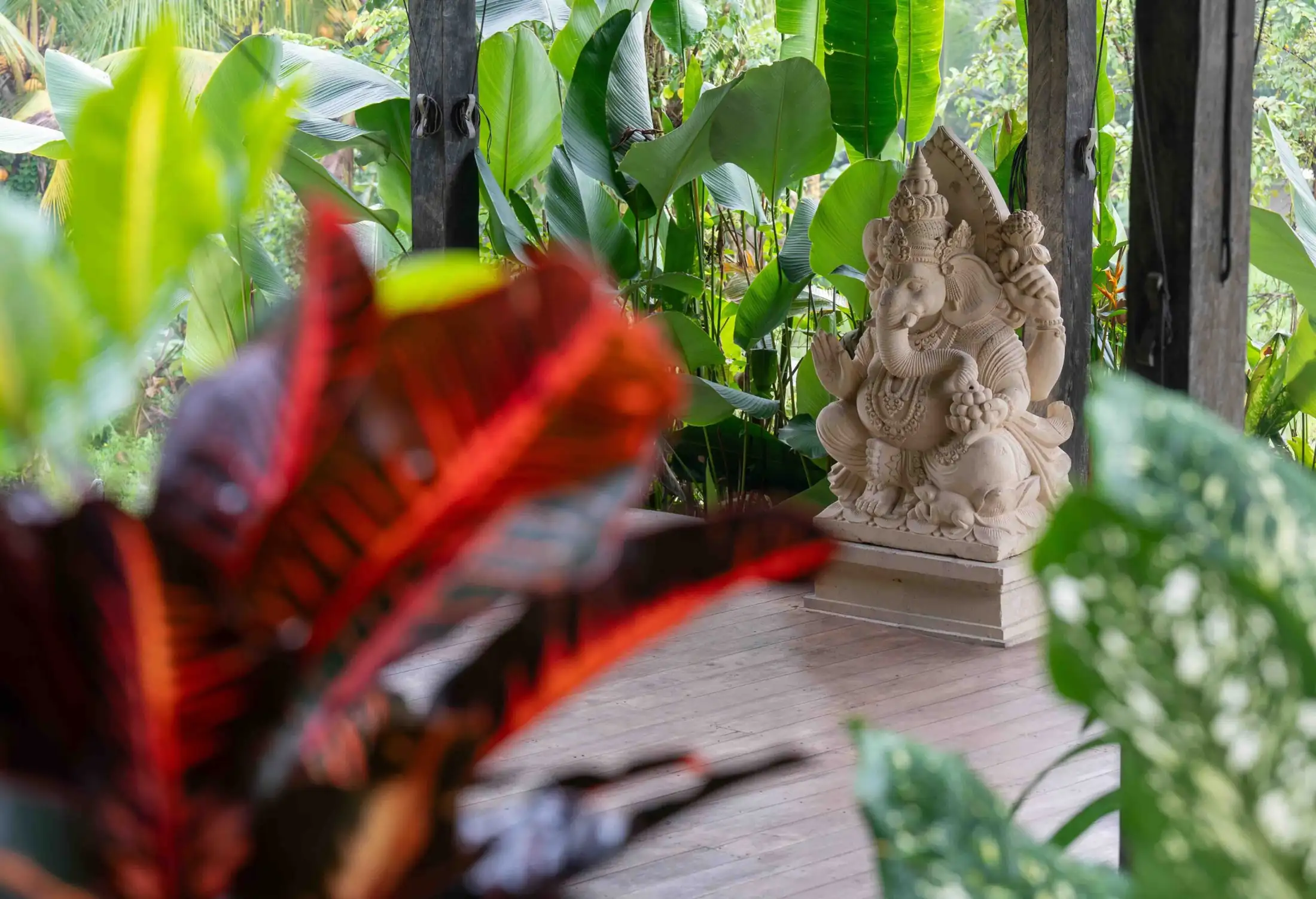 200hr-yoga-teacher-training-in-bali-senses-collective