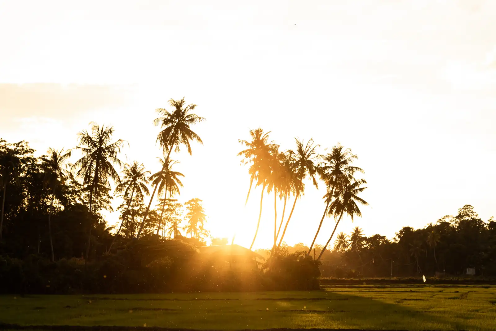 Senses 200hr yoga teacher training in Sri Lanka