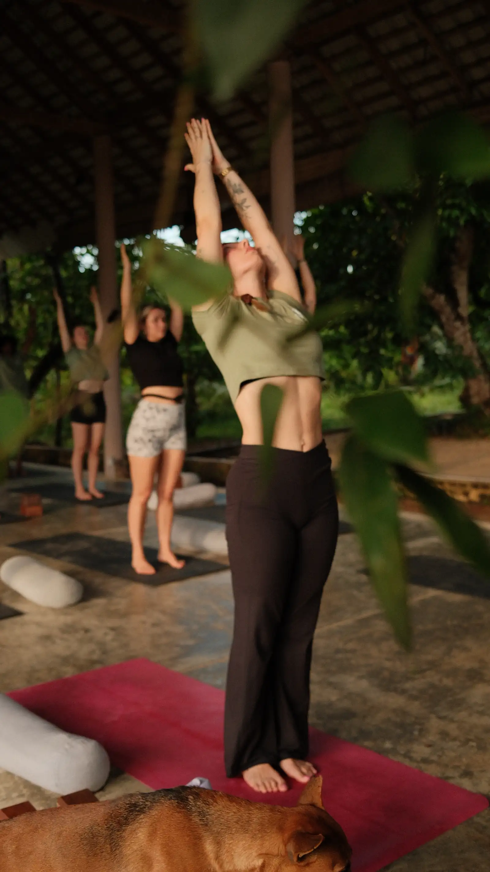 Senses 200hr yoga teacher training in Sri Lanka